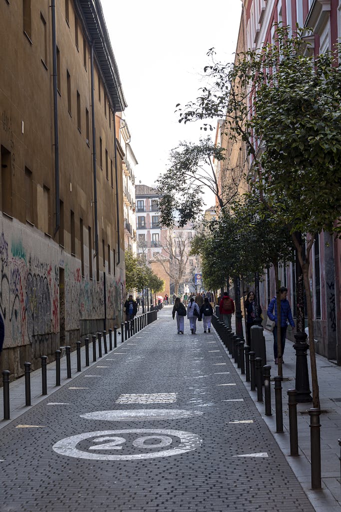 A lively street in Madrid's Barrio with people walking amidst charming architecture and urban art.