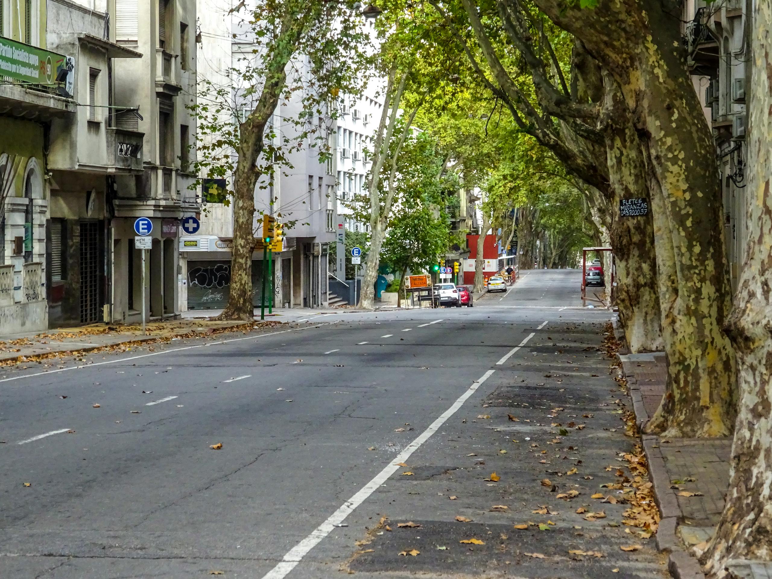 Quiet street in Montevideo, Uruguay, with autumn leaves and city architecture.